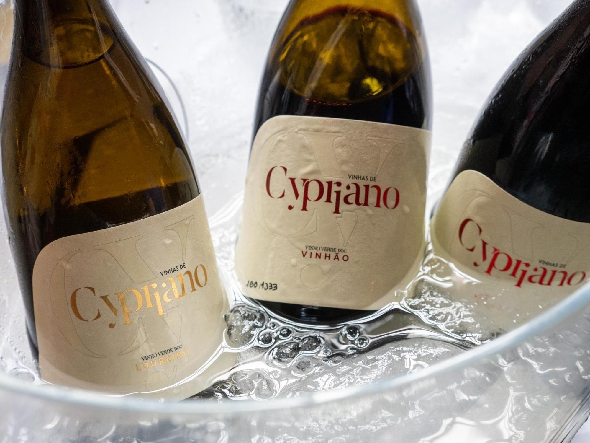 Quinta De Cypriano - Wine & Nature Ponte da Barca Eksteriør bilde