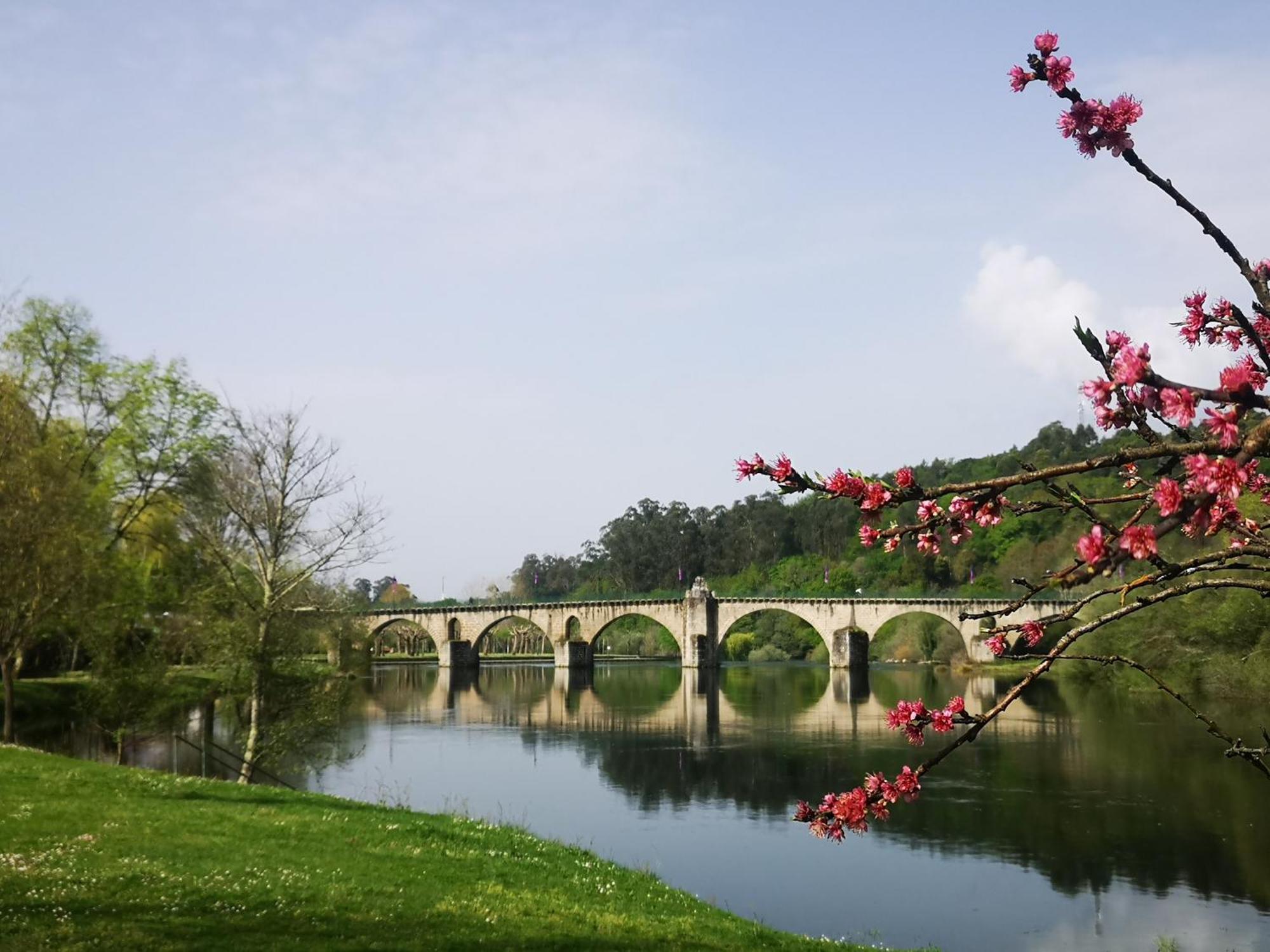 Quinta De Cypriano - Wine & Nature Ponte da Barca Eksteriør bilde
