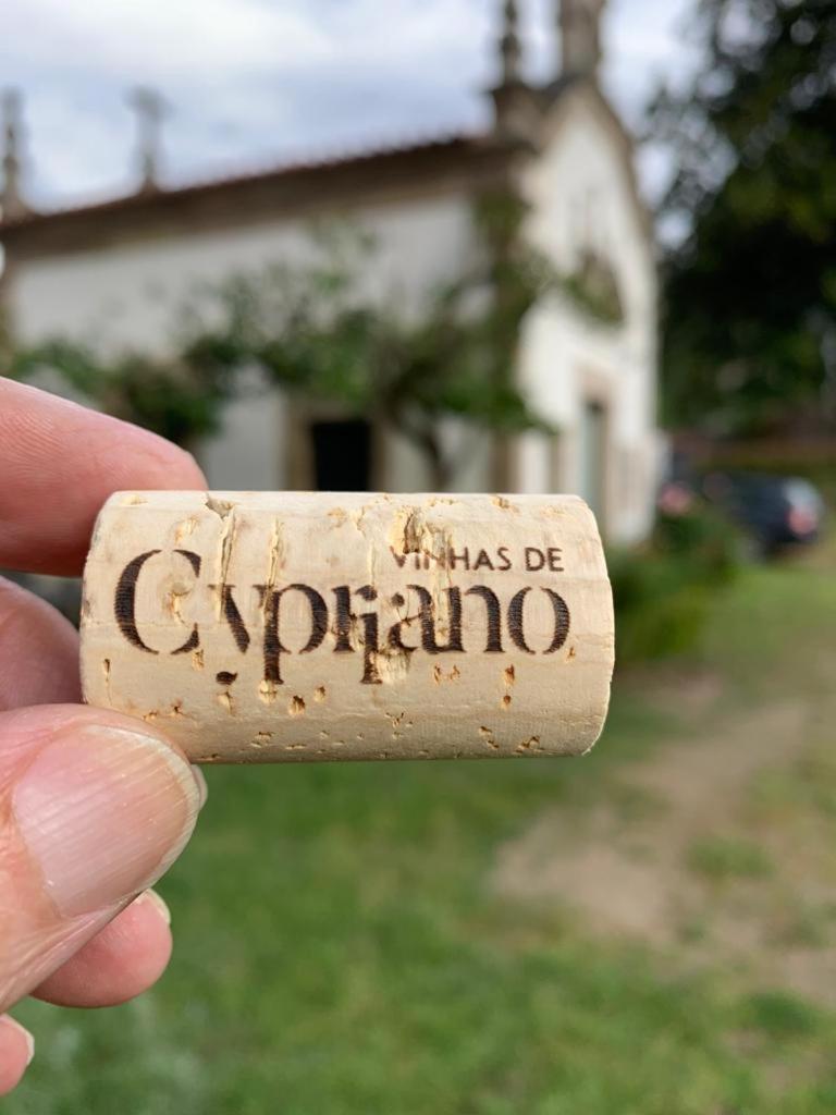 Quinta De Cypriano - Wine & Nature Ponte da Barca Eksteriør bilde
