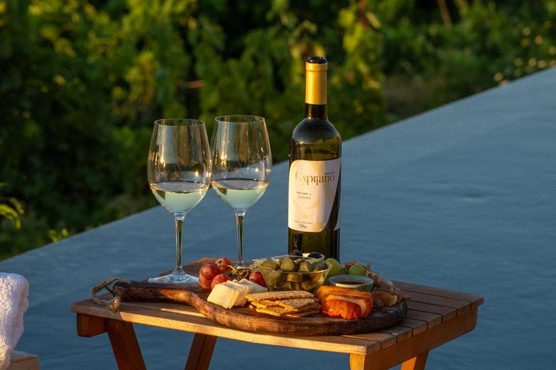 Quinta De Cypriano - Wine & Nature Ponte da Barca Eksteriør bilde